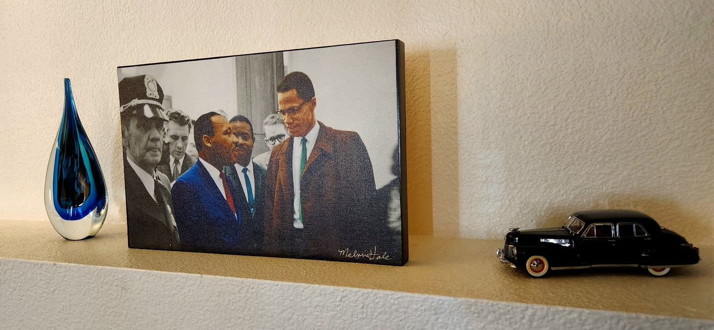 Martin Luther King, Jr. and Malcolm X