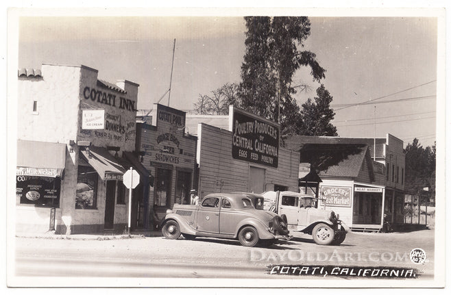 Cotati Inn