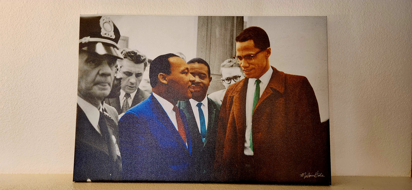 Martin Luther King, Jr. and Malcolm X