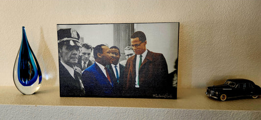 Martin Luther King, Jr. and Malcolm X