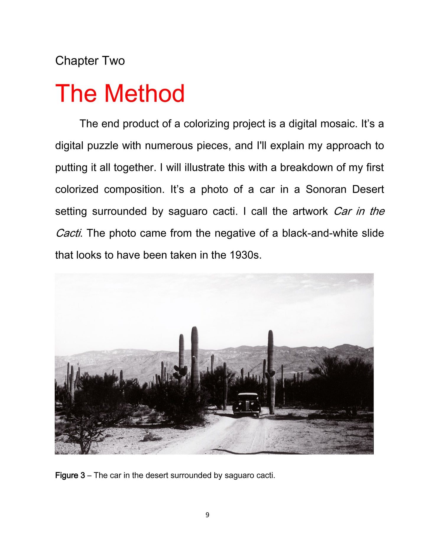 The Colorizing Pro