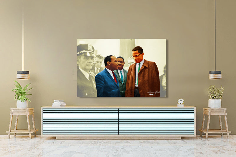 Martin Luther King, Jr. Meets Malcolm X