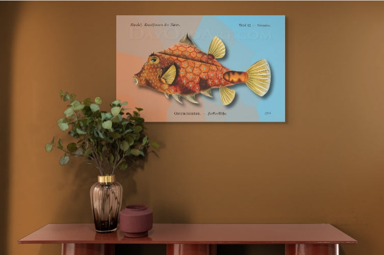 Haeckel's Box Fish